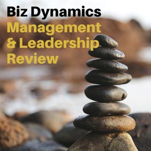 Biz Dynamics Academy Management and Leadership Review