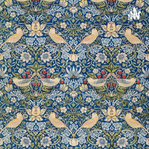 Diary Ke Kuch Panne!!