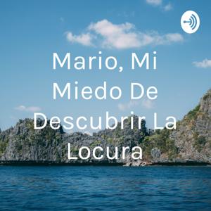 Mario, Mi Miedo De Descubrir La Locura