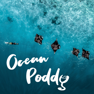 Ocean Poddy