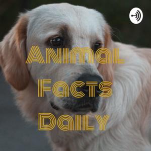 Animal Facts Daily