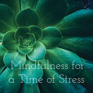 Mindfulness for a Time of Stress