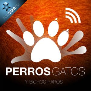 Perros, Gatos y Bichos Raros by Podstar.FM