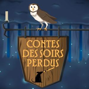 Contes des Soirs Perdus by Lloyd Blake