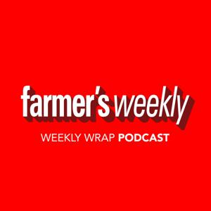 The Weekly Wrap