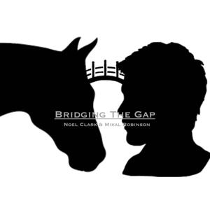 Bridging the Gap