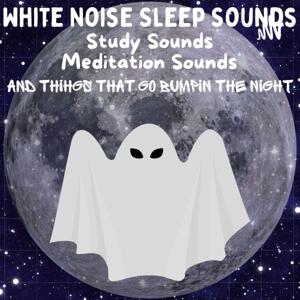 Movies and Books in Audio