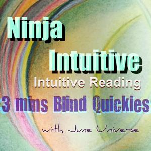 Ninja Intuitive