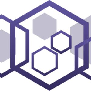 The Simplicity Principle