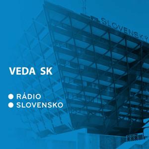 Veda SK