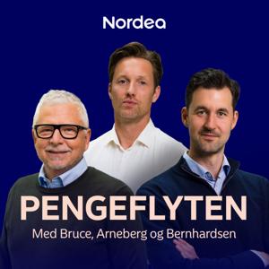 Pengeflyten