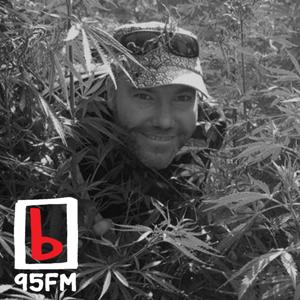 95bFM: Marijuana Media by 95bFM