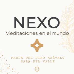 Nexo: meditaciones en el mundo