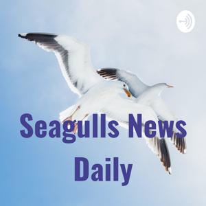 Seagulls News Daily