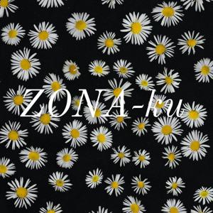ZONA-ku