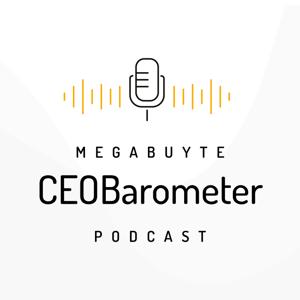 Megabuyte CEOBarometer podcast with Ian Spence by Megabuyte