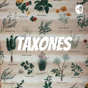 TAXONES