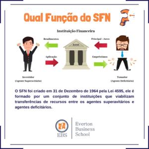 Bate papo sobre o SFN e Demais Participantes