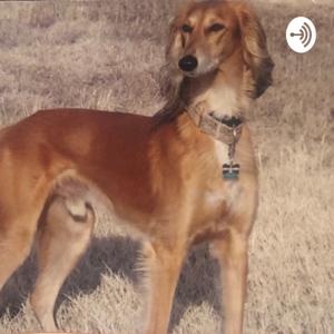 Tall Dog Podcast