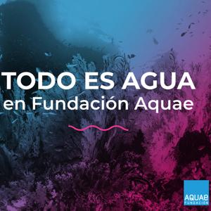 Todo es Agua