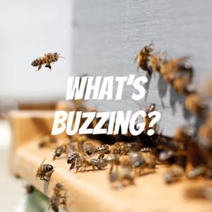 What's Buzzing?