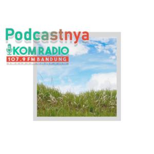 Ikom_radio