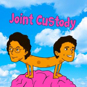 Joint Custody