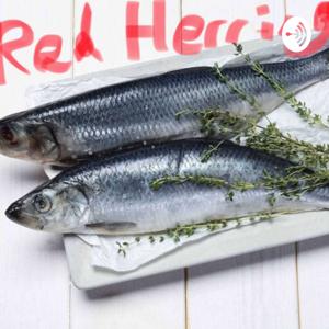 Red Herring