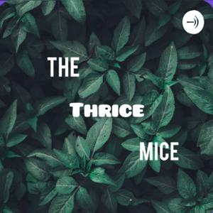 The Thrice Mice