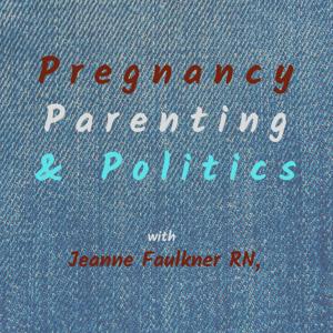 Pregnancy, Parenting & Politics by Jeanne M Faulkner