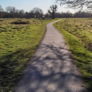 Creative conversations