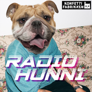 RADIO HUNNI by Konfetti Fabrikken