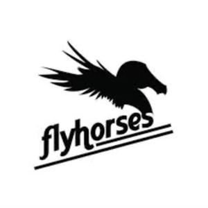FLY HORESES RADIO
