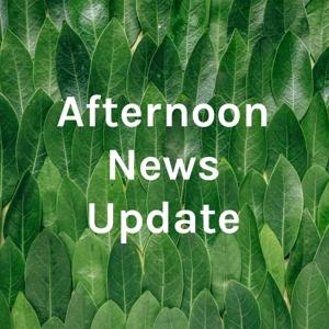 Afternoon News Update