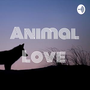 Animal Love