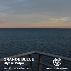 Ulysse Polpo - Grande Bleue