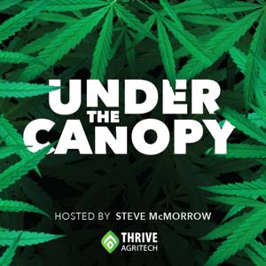 Under The Canopy