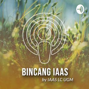 BINCANG IAAS