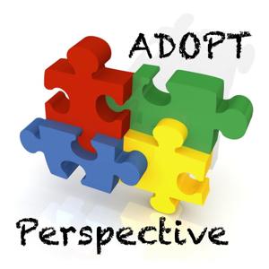 Adopt Perspective by Jigsaw Queensland