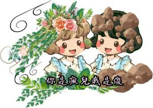 你是瘋兒我是傻