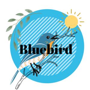 Bluebird: Where Mind and Body Meet