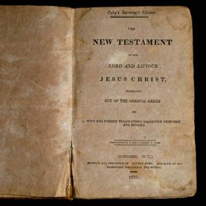 The Bible Daily