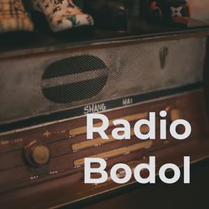 Radio Bodol