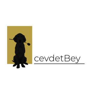 cevdetBey