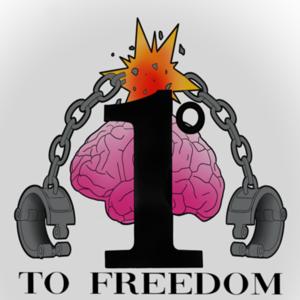 1° to Freedom "Documented and Questionable Mindset Perspectives"