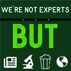 We're Not Experts... But