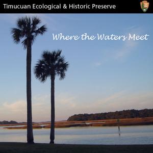 Inside the Timucuan Preserve by Timucuan Ecological and Historical Preserve