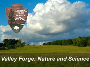 Valley Forge Nature  Science