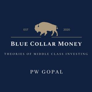 Blue Collar Money:  Theories of Middle Class Investing