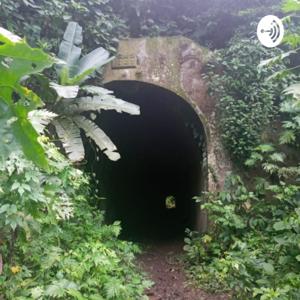 Milla 48 Historia y relatos Podcast